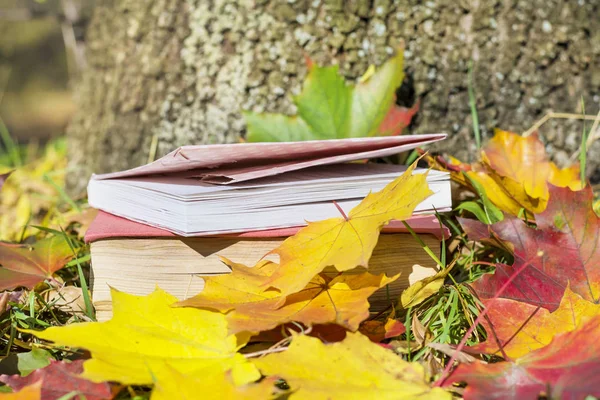 Stack of books under the tree on autumn leaves