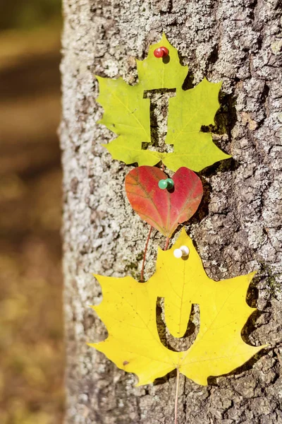 Kocham Cię Napisane Piękne Kolorowe Jesienne Liście Przypięte Drzewie — Zdjęcie stockowe