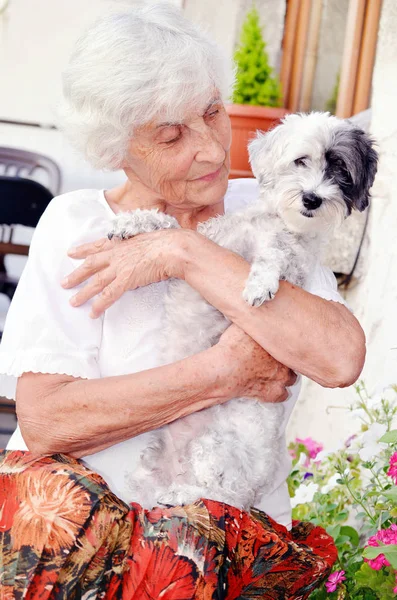 彼女かわいい Havanese 犬の屋外夏の Mountain Woman と一緒に旅行に犬を抱いて幸せ上級美女 — ストック写真