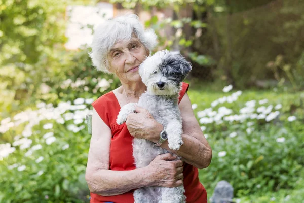 Mujer Mayor Abrazando Perro Caniche Parque Con Margaritas Florecientes — Foto de Stock