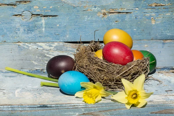 Easter Eggs Real Nest Blue Vintage Wooden Background Easter Decoration — Stock Photo, Image