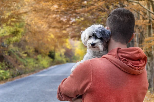 Joven Viajando Montaña Otoño Con Perro — Foto de Stock