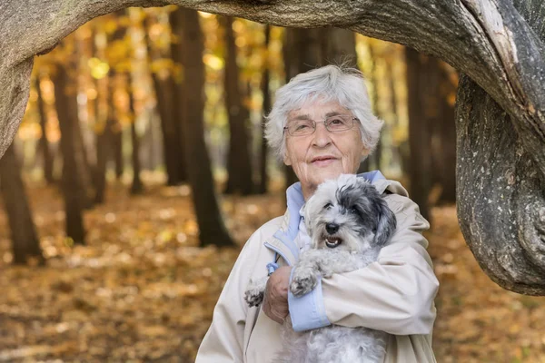 Beautiful Senior Woman Hugging Her Cute Dog Autumn Park — Stock Photo, Image