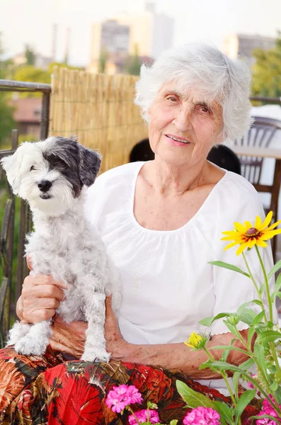 Hermosa Mujer Mayor Feliz Abrazando Lindo Perro Havanese Aire Libre — Foto de Stock