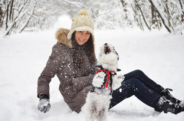 Beautiful Smiling Woman Playing with her Havanese Dog Outdoor in the  Winter.Owner and Dog Happy Together