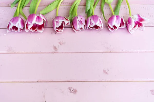 Fila Tulipanes Rosados Sobre Fondo Madera Rosa Con Espacio Para — Foto de Stock