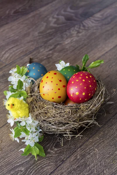 Easter Eggs Real Nest Cherry Blossoms Wooden Background Easter Decoration — Stock Photo, Image