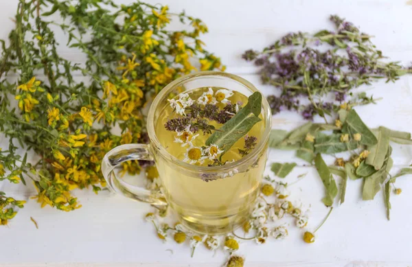 Cup Healthy Herbal Tea Dried Chamomile Oregano Thyme Tutsan — Stock Photo, Image