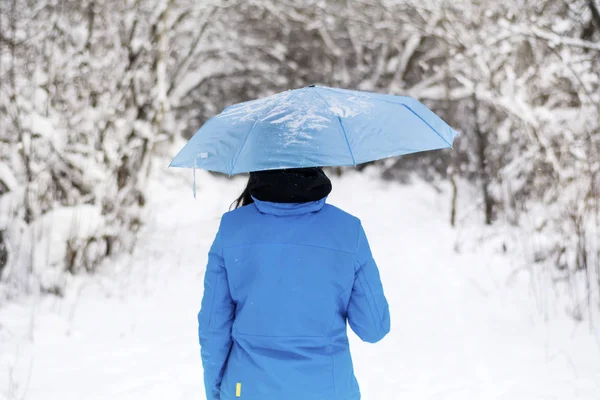 Back view of woman holding umbrella in winter landscape