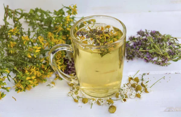 Cup Healthy Herbal Tea Dried Chamomile Oregano Thyme Tutsan — Stock Photo, Image