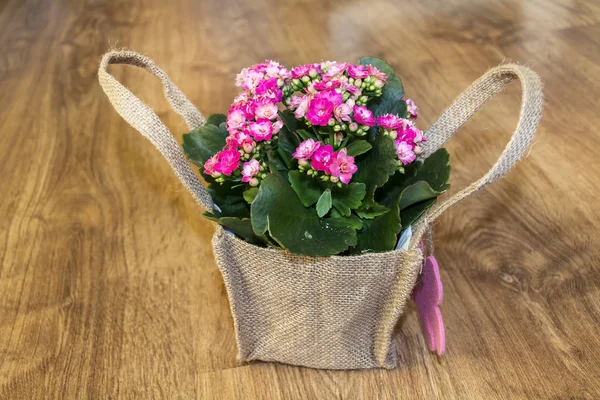 Güzel Pembe Aranjmani Çiçek Hediye Kartı Ile Canavas Bavul Hazırladı — Stok fotoğraf