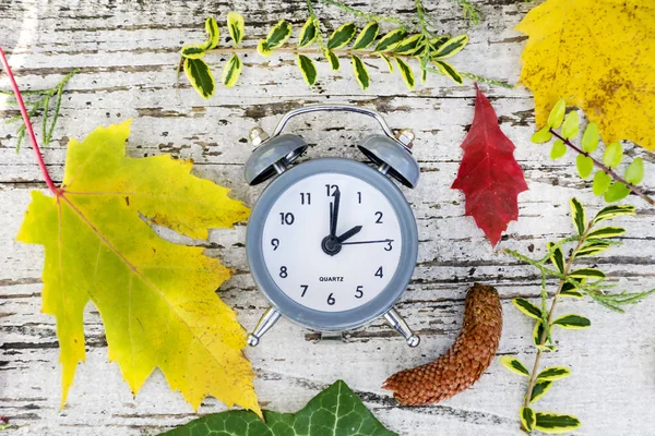 Fall Back Time - Daylight Savings End - Return To Winter Time.Autumn leaves and vintage clock on a wooden background