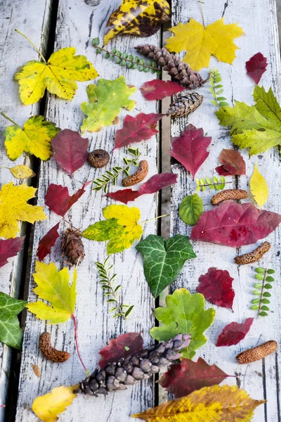 Kolorowe Jesienne Liście Drewnianym Tle — Zdjęcie stockowe