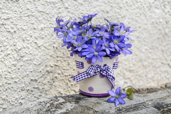 Πανέμορφο Μπουκέτο Μπλε Λουλούδια Ένα Μικρό Βάζο Τελείες Και Κορδέλα — Φωτογραφία Αρχείου