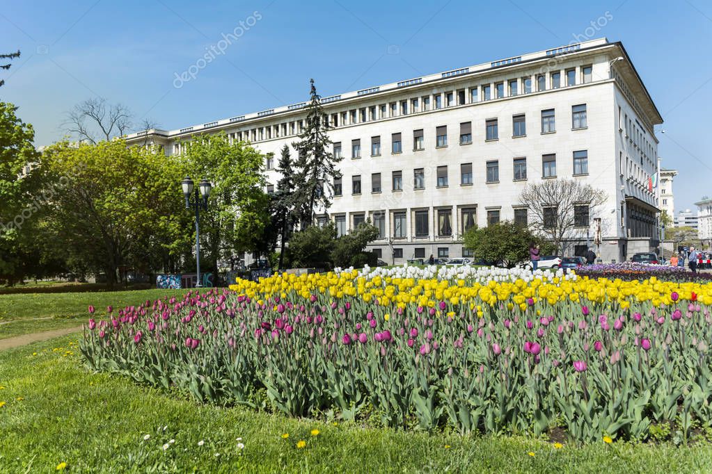 brnmanzurova.gmail.com