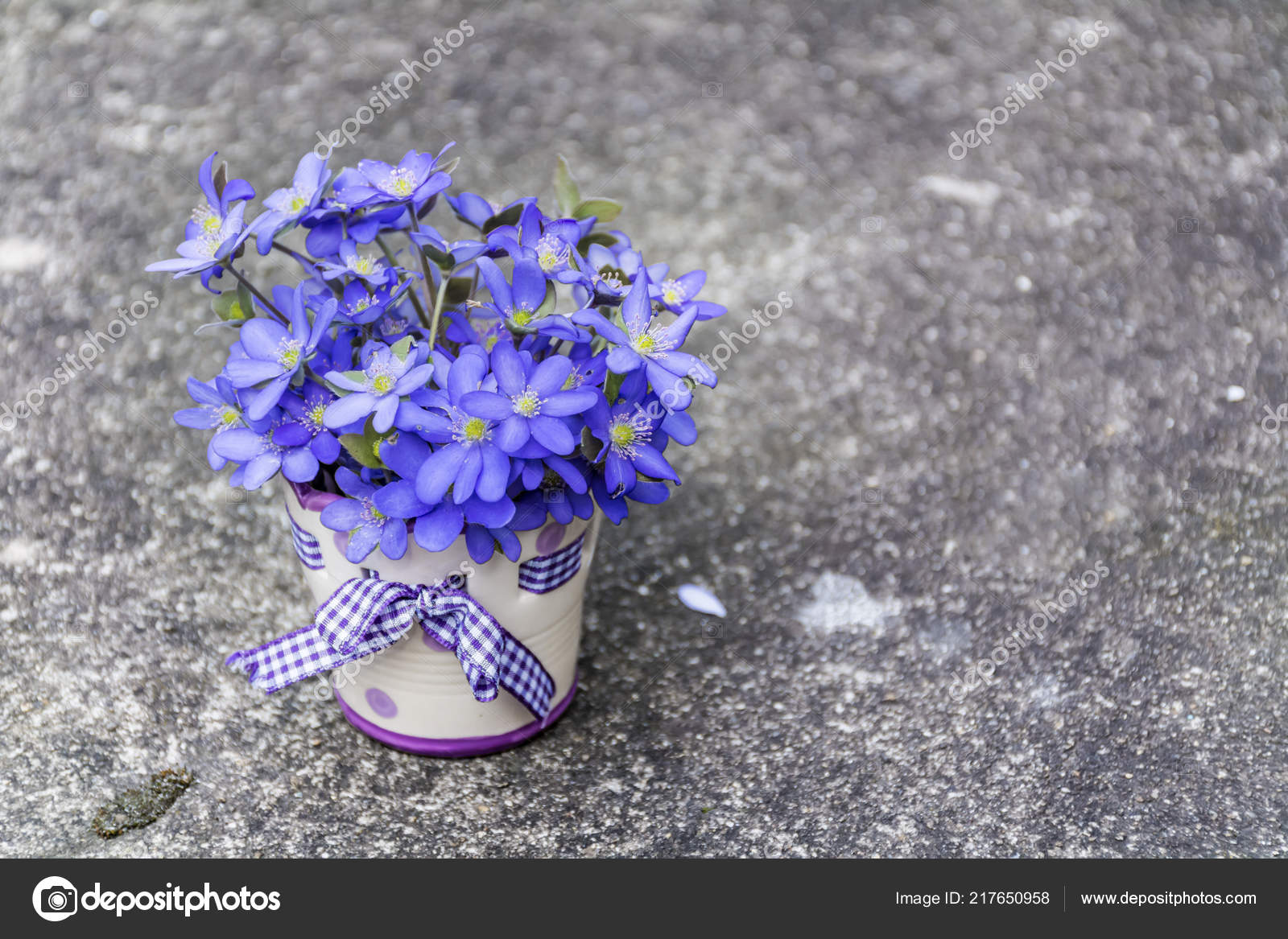 Hermoso Ramo Flores Azules Pequeño Jarrón Con Puntos Cinta: fotografía de  stock © brnmanzurova.gmail.com #217650958 | Depositphotos