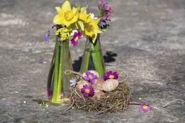 yuva ve bahar çiçek vazo içinde yumurtalı Paskalya dekorasyon