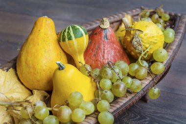 Üzüm ile farklı kabaklar