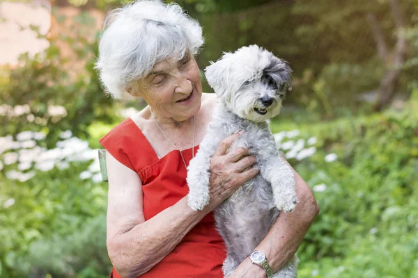 Mujer Mayor Abrazando Perro Caniche Parque Con Margaritas Florecientes — Foto de Stock