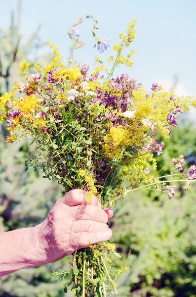 Cropped image of person holding flowers