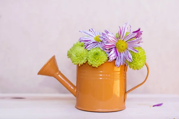 beautiful chrysanthemums flowers in a small watering cans.Home decoration