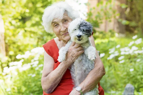 Hermosa Mujer Mayor Feliz Abrazando Lindo Perro Havanese Aire Libre — Foto de Stock