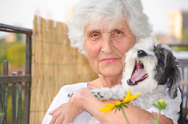 美丽的快乐的高级妇女拥抱她可爱的 Havanis 狗户外在夏日的山 妇女和狗一起旅行 — 图库照片