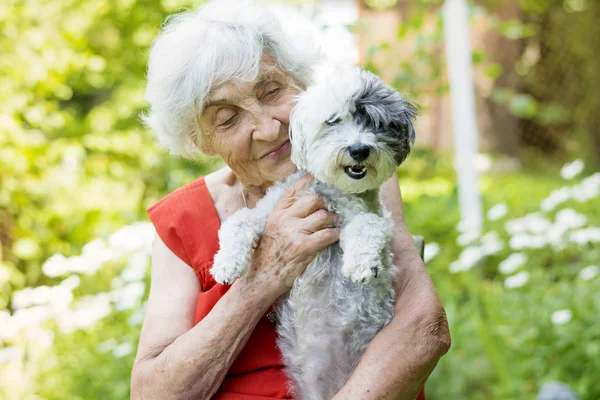 Güzel mutlu kadın onun sevimli Havanese köpek açık yaz Mountain.Woman ve köpek birlikte seyahat sarılma kıdemli