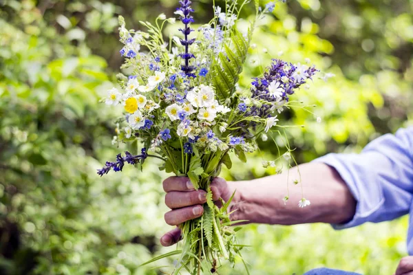 Старша Жінка Руки Тримає Квіти Зеленому Лузі Квітучими Маргаритами — стокове фото