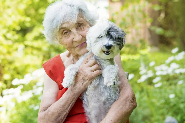 Hermosa Mujer Mayor Feliz Abrazando Lindo Perro Havanese Aire Libre — Foto de Stock