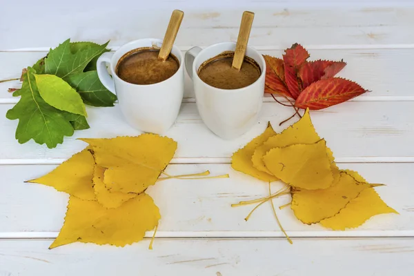 Heiße Schokolade Und Herbstblätter — Stockfoto