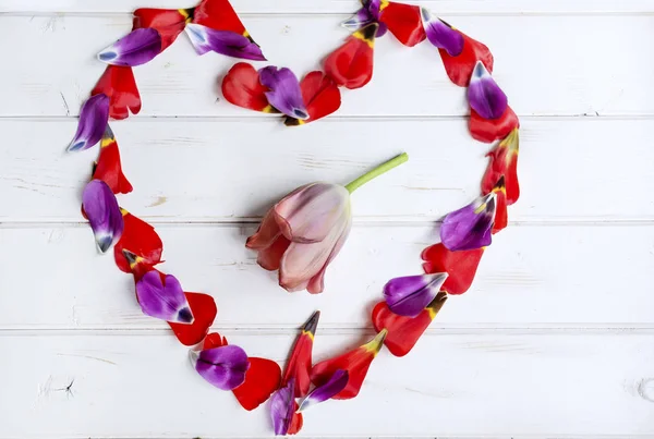 Tulip Bloemblaadjes Hart Vorm Een Witte Houten Achtergrond Achtergrond Van — Stockfoto