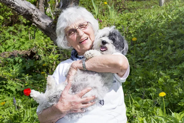 Vacker Glad Senior Kvinna Kramar Hennes Söta Havanese Hund Utomhus — Stockfoto