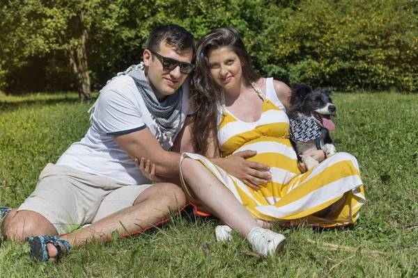 Муж Беременная Жена Устраивают Пикник Собакой Зеленом Лугу — стоковое фото