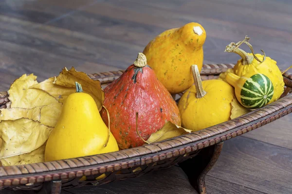 Verschiedene Kürbisse Und Gelbe Herbstblätter — Stockfoto