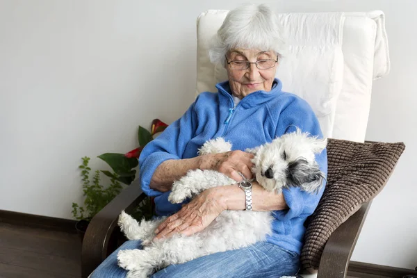 Senior Kvinna Kramar Hennes Pudel Hund Home Sleeping Hund — Stockfoto