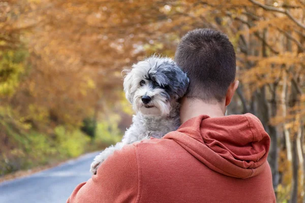 Joven Viajando Montaña Otoño Con Perro — Foto de Stock