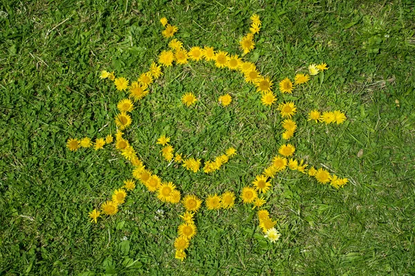 smiley face made from yellow flowers