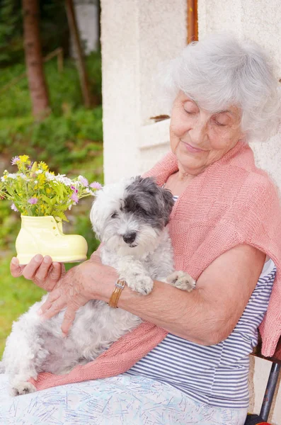 Vacker Glad Senior Kvinna Kramar Hennes Söta Havanese Hund Utomhus — Stockfoto