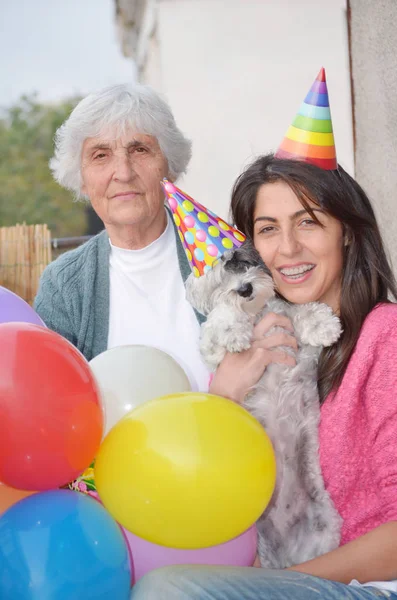 Feliz Joven Celebrando Cumpleaños Con Perro Globos Sombreros — Foto de Stock