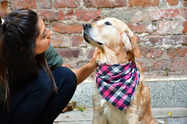 Ritratto Bella Donna Bruna Che Abbraccia Simpatico Cane All Aperto — Foto Stock