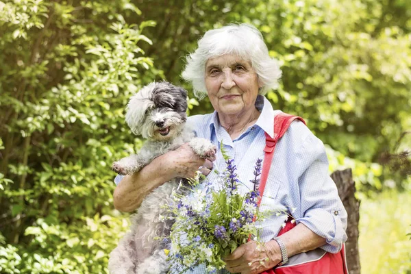 Güzel mutlu kadın onun sevimli Havanese köpek açık yaz Mountain.Woman ve köpek birlikte seyahat sarılma kıdemli