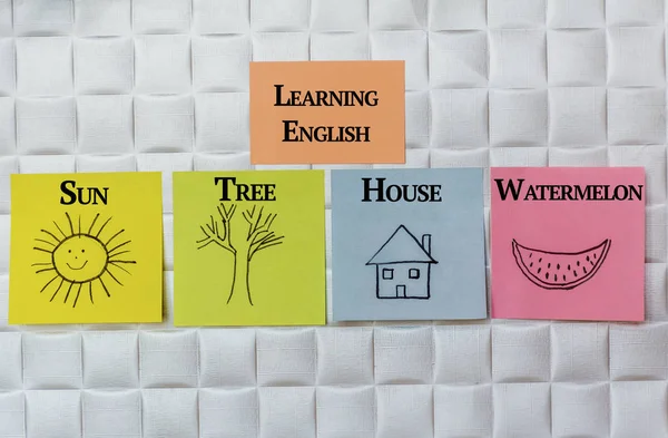 Learning  English Language  Education Concept with Painted Animals on a Sticky Notes.English for Kids