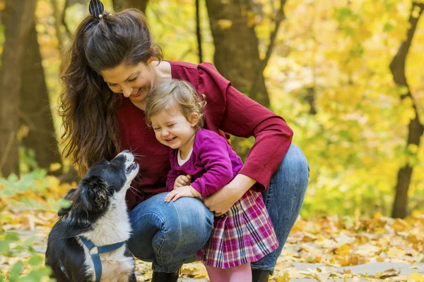 Mãe Feliz Com Seu Bebê Menina Seu Cão Parque Outono — Fotografia de Stock