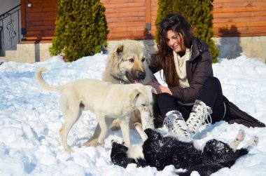 Güzel gülümseyen kadın iskambil ile onun köpekler açık Winter.Owner ve köpekler mutlu birlikte 