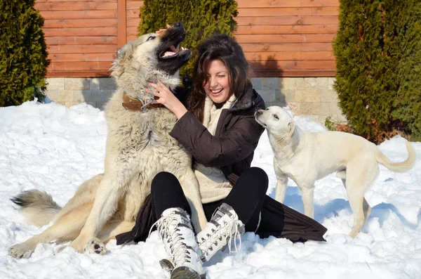 美丽的微笑的女人玩她的狗户外在冬天 主人和狗快乐在一起 — 图库照片