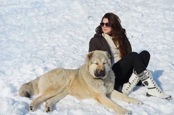 美丽的微笑的女人玩她的白种人牧羊犬户外在冬天 业主和狗快乐在一起 — 图库照片