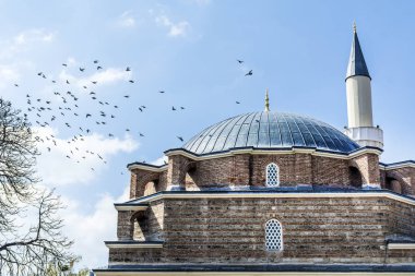 Bulgaristan 'ın Sofya kentinde mavi gökyüzü 'nde Türk Camii ve güvercin sürüsü 