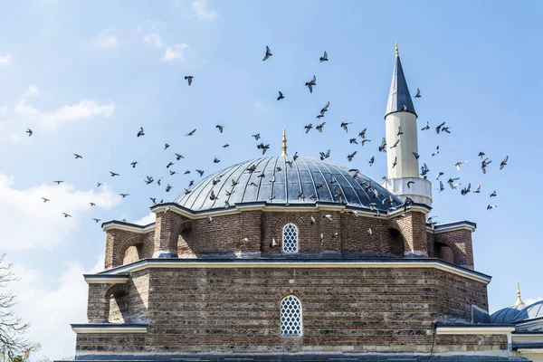 Turkish Mosque Flock Pigeons Blue Sky City Sofia Bulgaria — Stock Photo, Image