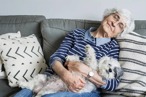 Senior Mulher Dormindo Sofá Segurando Cão — Fotografia de Stock